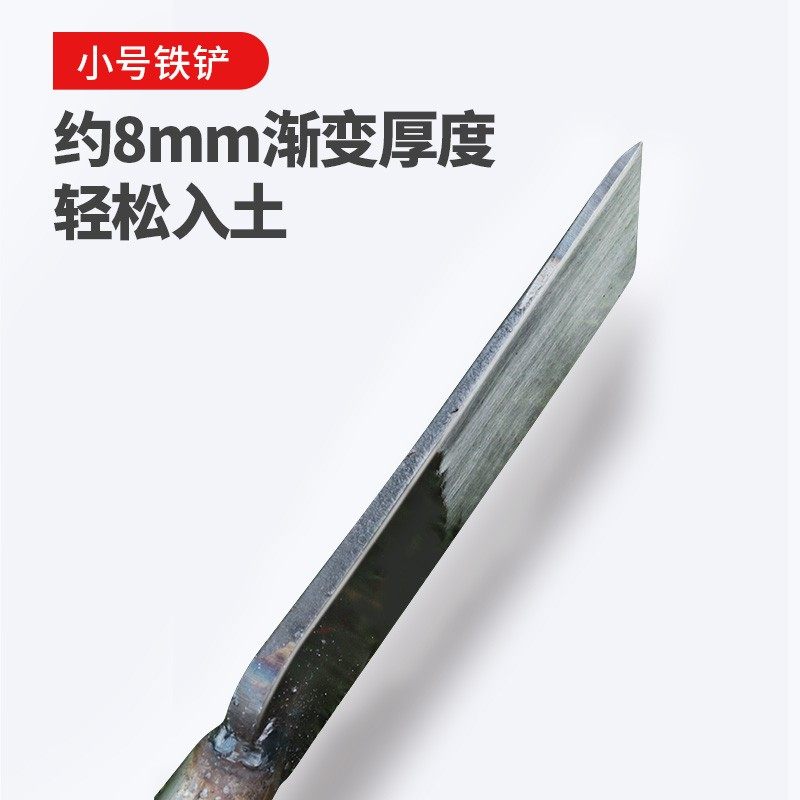 全钢挖树铲专业起苗移树加厚洛阳铲木柄铁锹打Q洞挖坑探铲园林工,农机/农具/农膜,铲子,淘宝优惠券,粉丝福利购,淘宝优惠卷