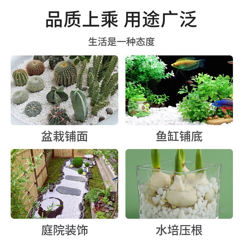 40斤庭院白石子大鹅卵石水洗石铺地F舖路花园盆栽鱼缸装饰白色石