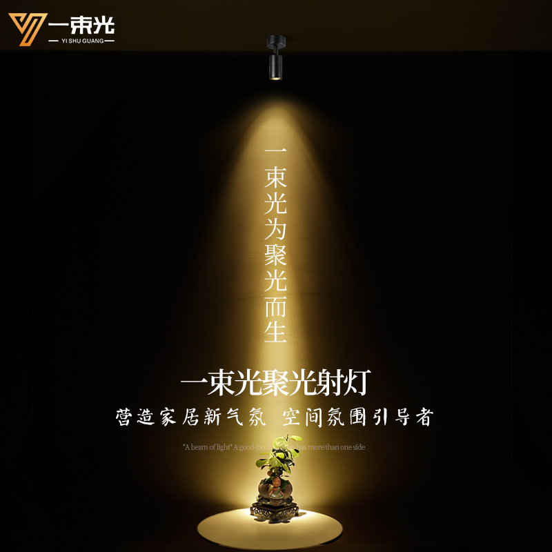 一束光4000K中性光轨t道灯明装客厅博物馆艺术品氛围餐饮吸顶射灯