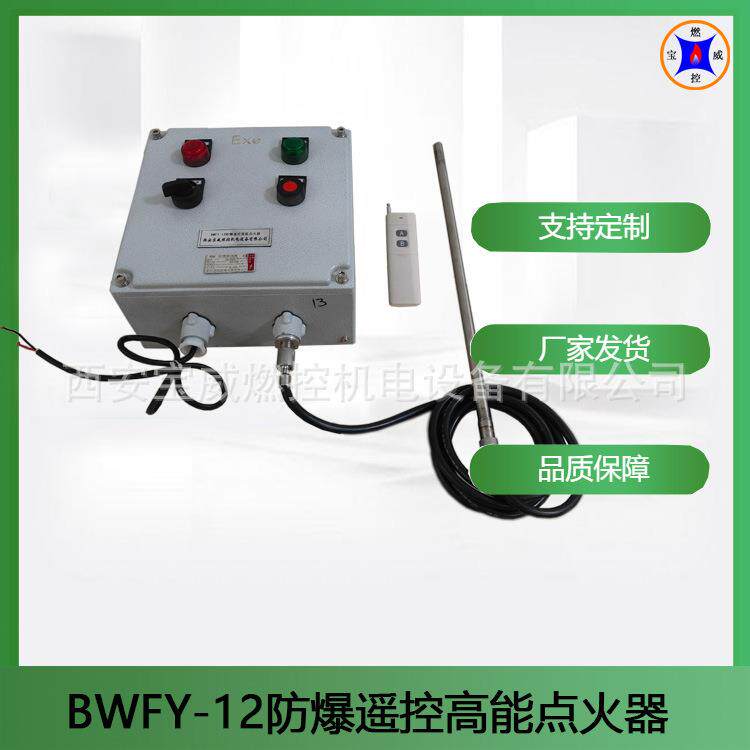 BWFY-12遥控防爆高能点火器装置厂家 化工配件 导热油炉使用
