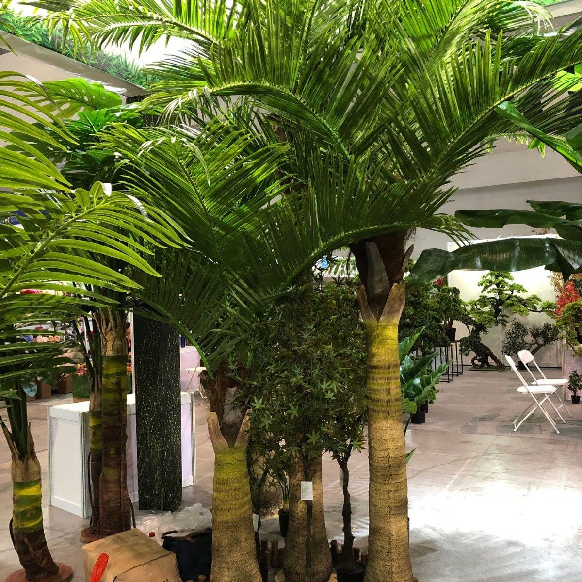 2.5米巨大型仿真树狐尾椰槟榔树玻璃钢棕榈树酒瓶椰子树酒店专用,工业油品/胶粘/化学/实验室用品,基础油,淘宝优惠券,粉丝福利购,淘宝优惠卷