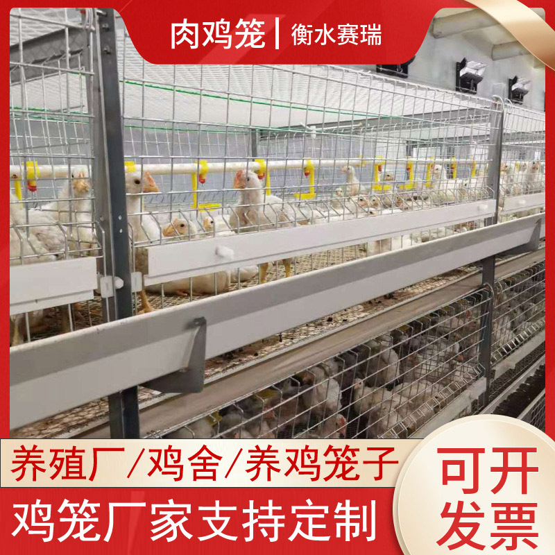 热镀锌三层肉鸡笼 框架肉鸡笼 全自动肉鸡笼 养殖场用自动肉鸡笼