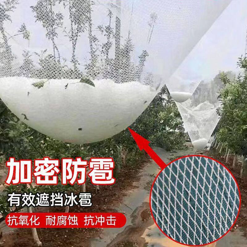 防雹网0.7网孔加厚边加卸风边双重保护寿命达三年网子厂家直销