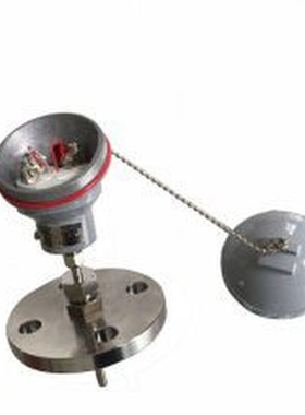 热电阻LDNF2-206/2000A-00上海上润仪表