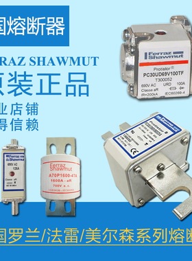 PC73UD13C450D1A D300567法国罗兰美尔森法雷熔断器全新现货供应