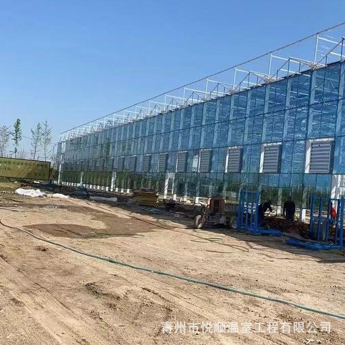 育苗棚观景棚智能玻璃连动温室生态餐厅设计安装农业花卉养殖大棚,模玩/动漫/周边/娃圈三坑/桌游,文化/体育周边,淘宝优惠券,粉丝福利购,淘宝优惠卷