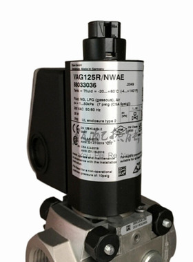 锅炉烘箱燃烧炉点火阀霍科德VAG125R NWAE电磁阀