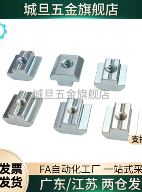 LNSN6/8/10-20/30/40/45-4/5/6/8/10-100P欧标铝型材专用滑块螺母