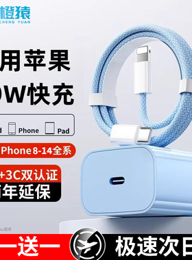 适用苹果充电器头20W正品iphone14/13pro编织数据线彩色11/12p插头x手机plus专用xr快充PD套装原max速冲平板