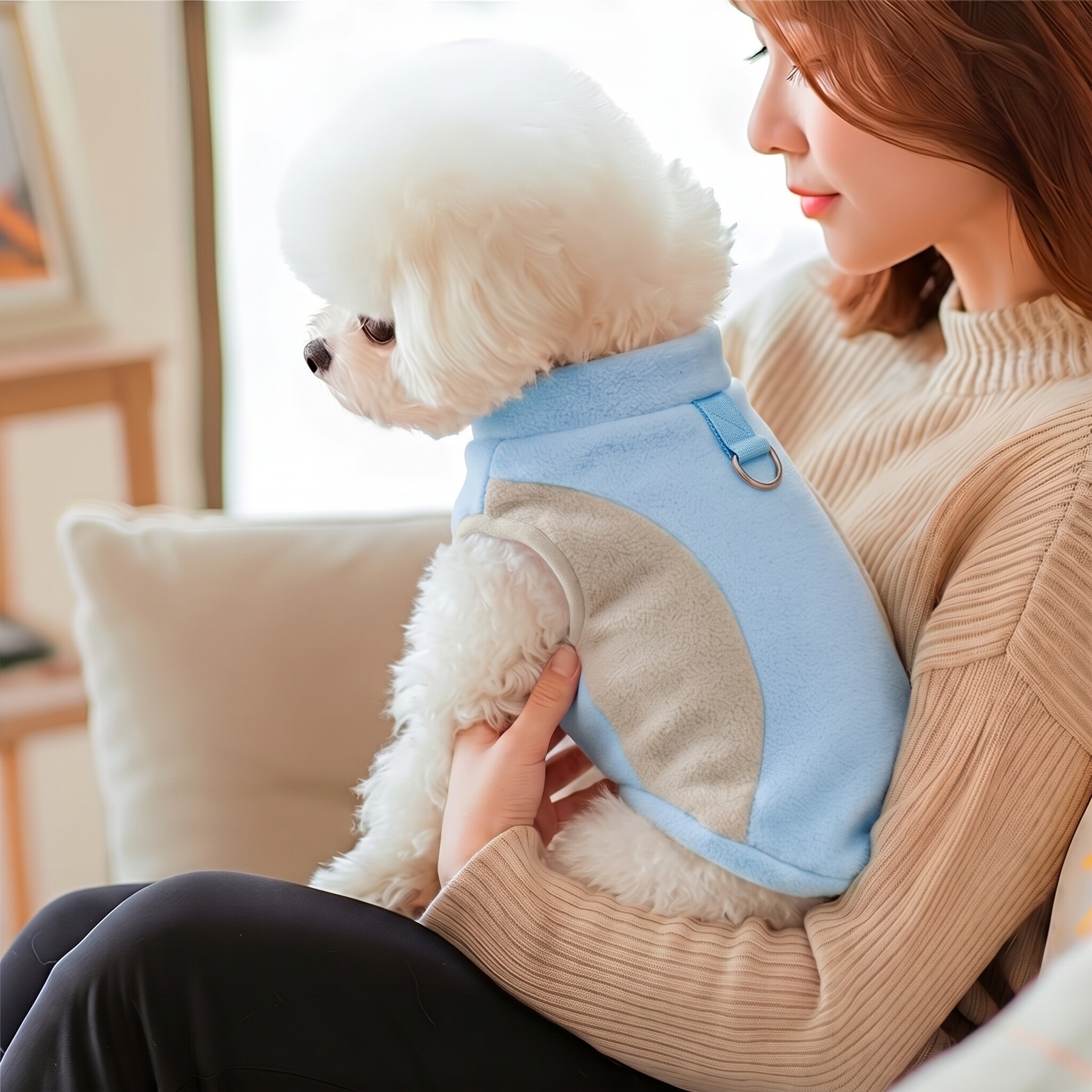 小狗衣服宠物狗狗雪纳瑞柯基小型犬2026新款秋冬高颜值泰迪比熊