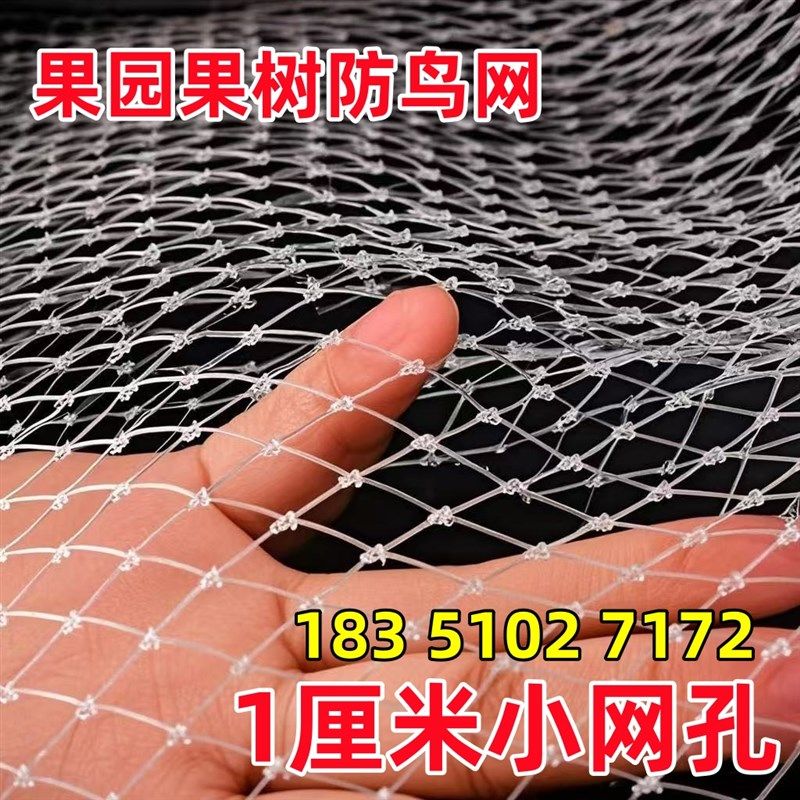 小网孔果树防鸟专用网果园天网尼龙网樱桃嘉宝果防鸟网蔬菜防鸟罩
