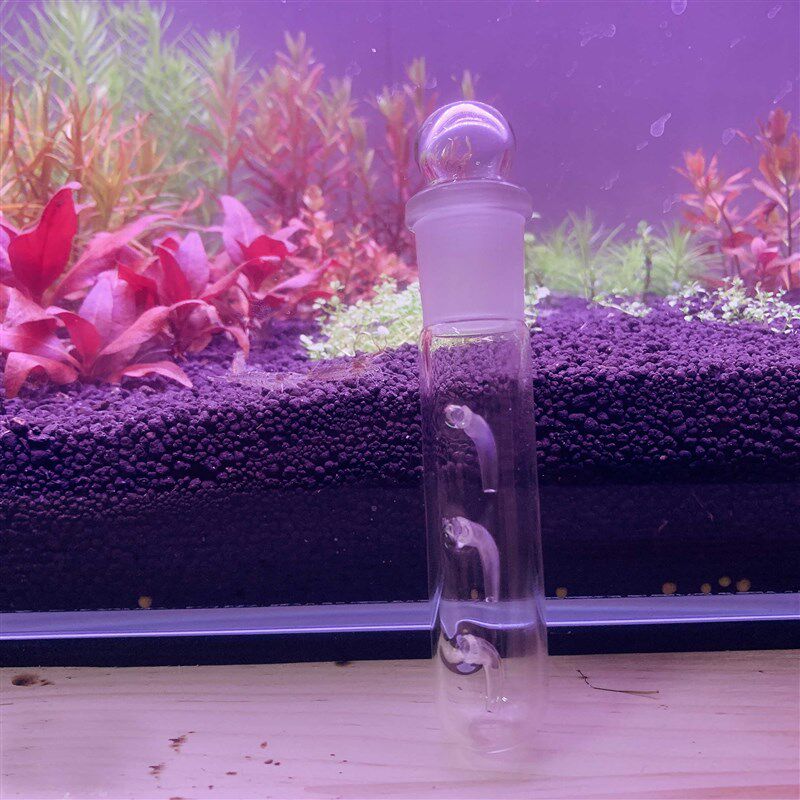 涡虫诱捕器 水族箱玻璃蜗虫捕捉药 鱼缸涡虫笔吸水蛭蚂蝗捕蜗虫器