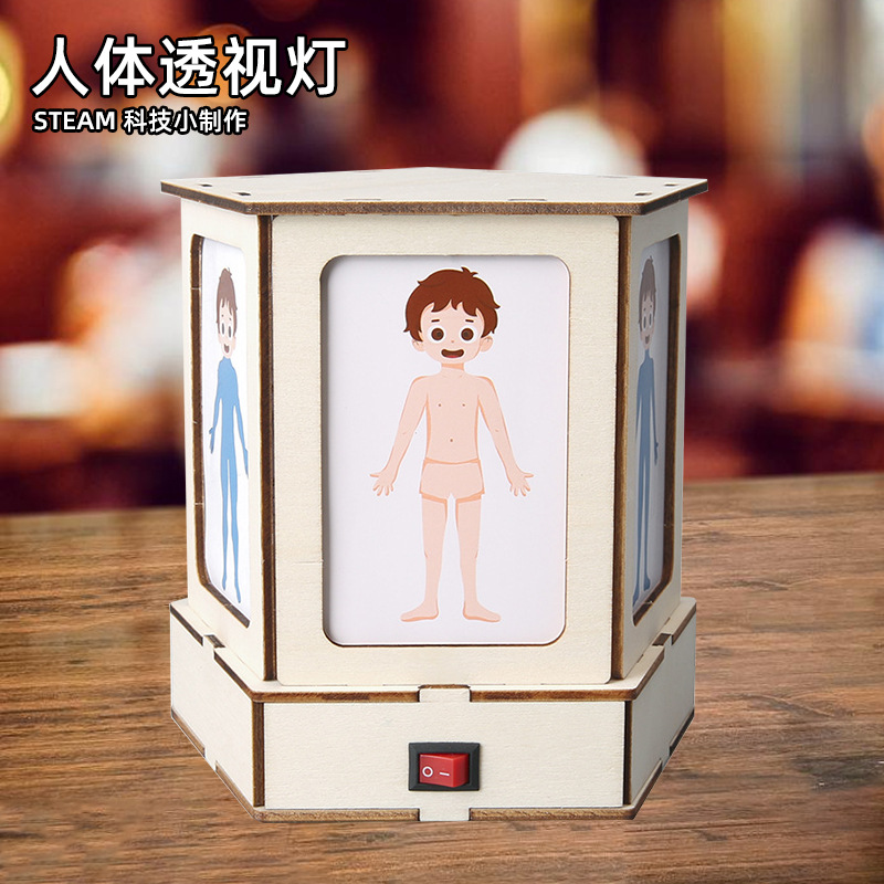 人体结构观察灯认识人体器官科学实验stem儿童手工材料科技小制作