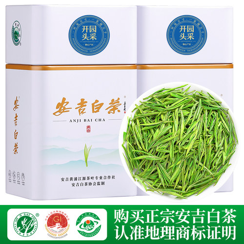 安吉白茶特级明前头采新茶春茶叶
