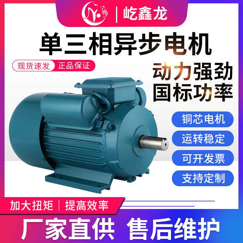 YL112M系列220v单相异步电动机国标全铜3W/4W双电容电机高效能