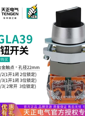 TENGEN天正电气TGLA39-11X/220X/3旋钮旋转开关二档三档黑色