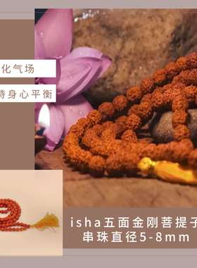 【现货】isha菩提子萨古鲁圣化奉献五面金刚菩提子串珠直径5-8mm