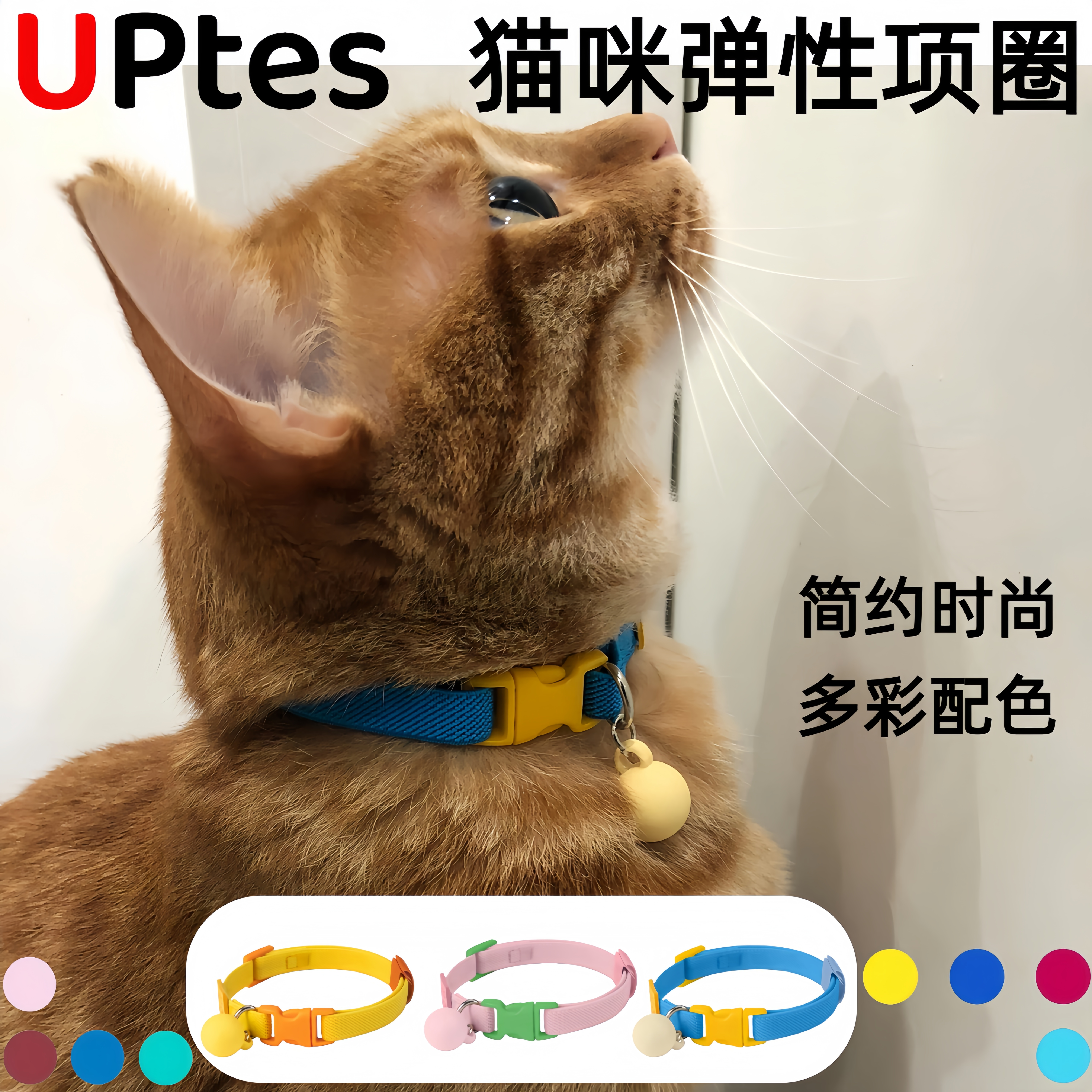 UPtes猫咪狗狗项圈可调节配饰宠物项圈刻字多巴胺通用弹力项圈,宠物/宠物食品及用品,项圈/肩带,淘宝优惠券,粉丝福利购,淘宝优惠卷