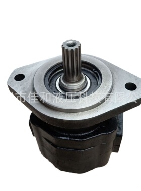 柳工11C2250齿轮泵   CBGJ2050 多种规格 运行稳定