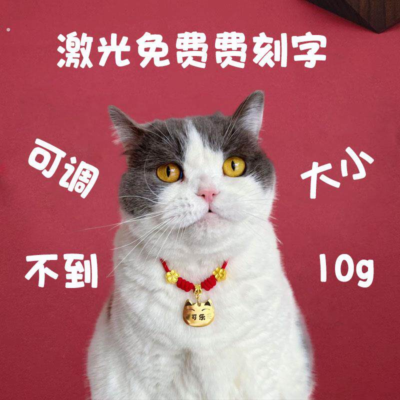猫咪项圈围脖项链猫牌狗牌刻字防丢失狗狗颈圈中小型犬脖圈身份牌