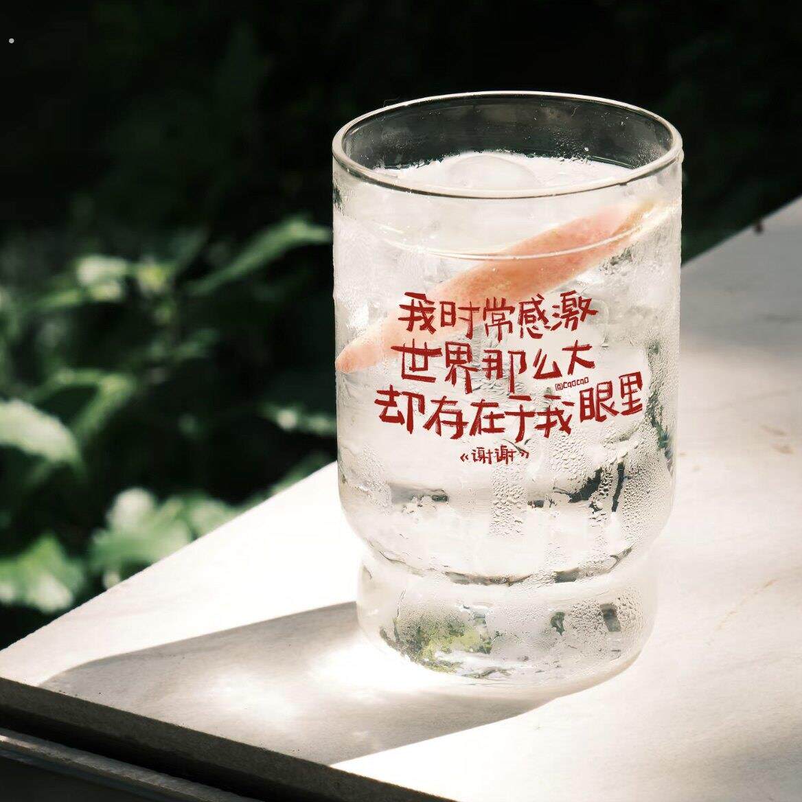 小红书同款我时常感激世界那么大却存在于我眼里创意诗歌玻璃杯