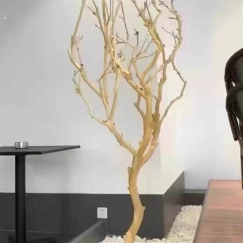 树枝树干装饰去皮干树枝造景原木干枝枯树枝架子摆件艺术造型树杈