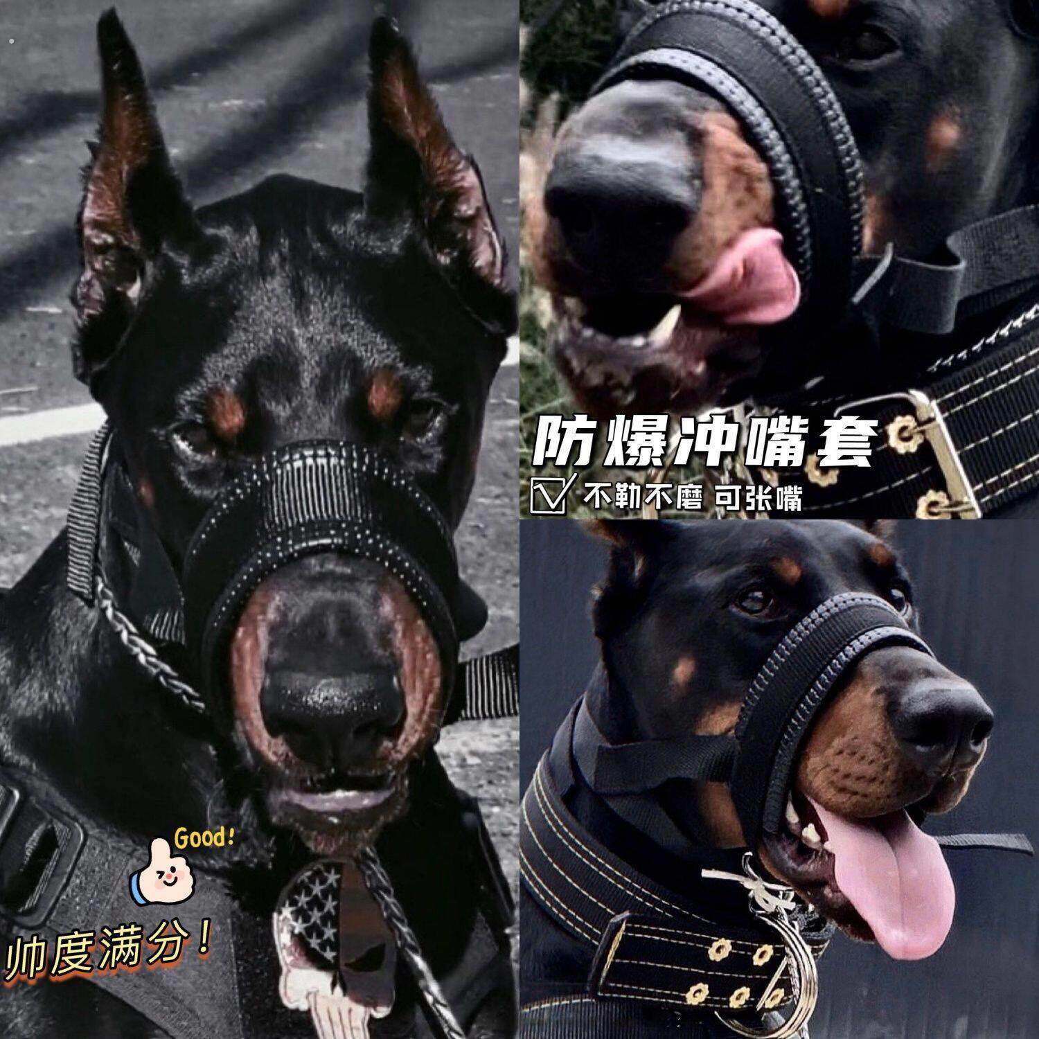 狗狗嘴套防乱咬防叫杜宾嘴套德牧马犬小中大型犬透气可调节可喝水