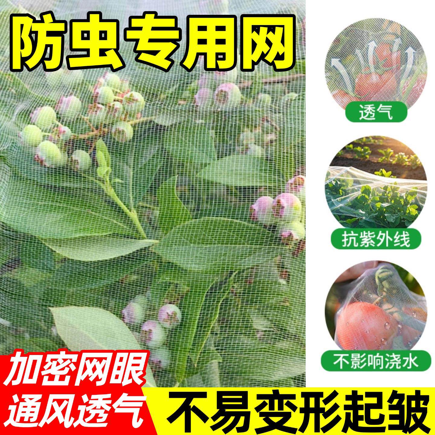 室外防蚊纱网防柳絮封院子纱网隔离网罩树叶天井防虫网养殖场防护
