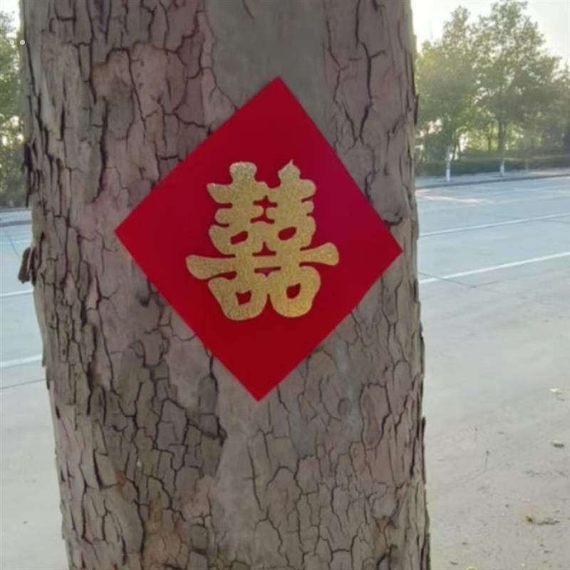 结婚压井盖喜字贴树植绒无纺布大红纸贴墙路引小喜字带胶自粘街囍,节庆用品/礼品,喜字/剪纸/贴纸,淘宝优惠券,粉丝福利购,淘宝优惠卷