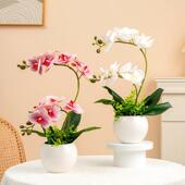 蝴蝶兰假花彷真花束跳舞兰客厅餐桌装 饰花摆件向日葵干插花艺摆设