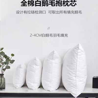鹅毛羽绒抱枕芯羽毛抱枕枕芯睡枕坐垫靠垫