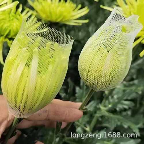 大骨朵牡丹菊保护网套波斯菊网套 乒乓菊套袋网鲜切花物流包装