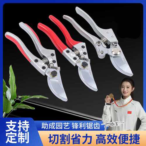 sk5钢果枝剪园艺修枝剪果树花枝修剪省力粗枝剪刀园林工具果树剪