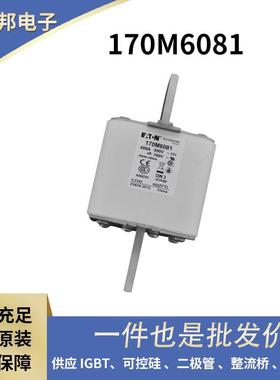 原厂陶瓷熔断器 快速熔断器 170M6018 170M6019 170M6020
