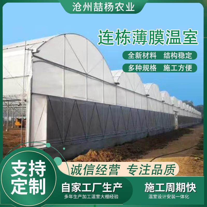 连栋薄膜温室大棚 外遮阳内保温农业大棚 园林花卉草莓连栋棚