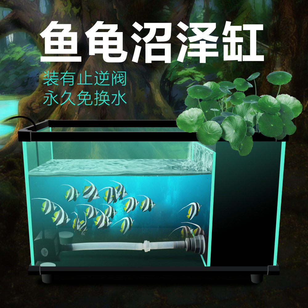 NOMO鱼龟沼泽缸邮购包装鱼缸龟鱼小型居家高清玻璃龟缸金鱼缸龟盆,鲜花速递/花卉仿真/绿植园艺,其它园艺用品,淘宝优惠券,粉丝福利购,淘宝优惠卷