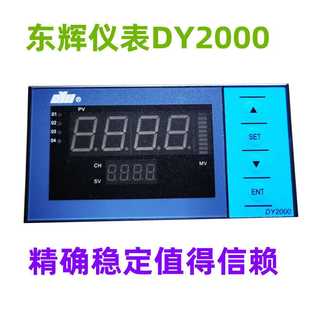 PT100 东辉仪表DY21B00P DY21B02 DY21B20P DY21B06P