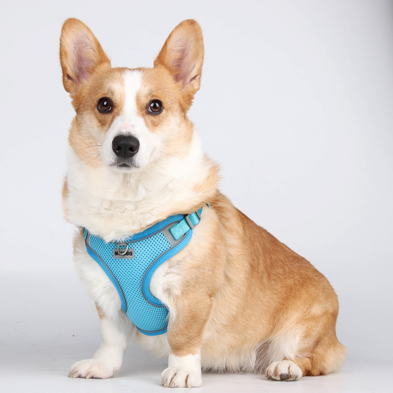 背心式狗狗牵引绳小型犬泰迪比z熊透气胸背中型犬柯基柴犬外出狗