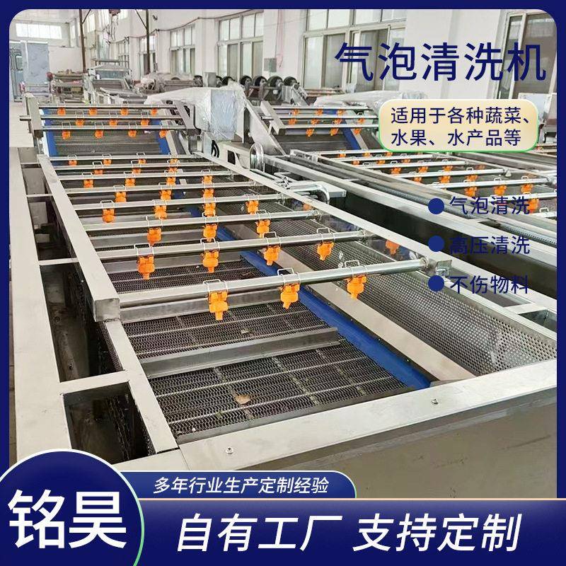 果蔬气泡清洗机全自动不锈钢蔬菜清洗设备西蓝花喷淋洗菜机