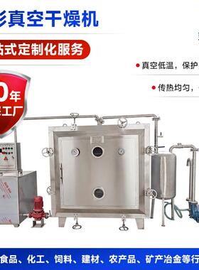 氧化铅方形真空干燥箱工业染料方形真空干燥机食品角料烘干机