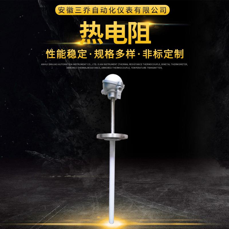 装配式防腐铠装热电阻WZPF-431PT100忖四氟工业仪表可非标生产