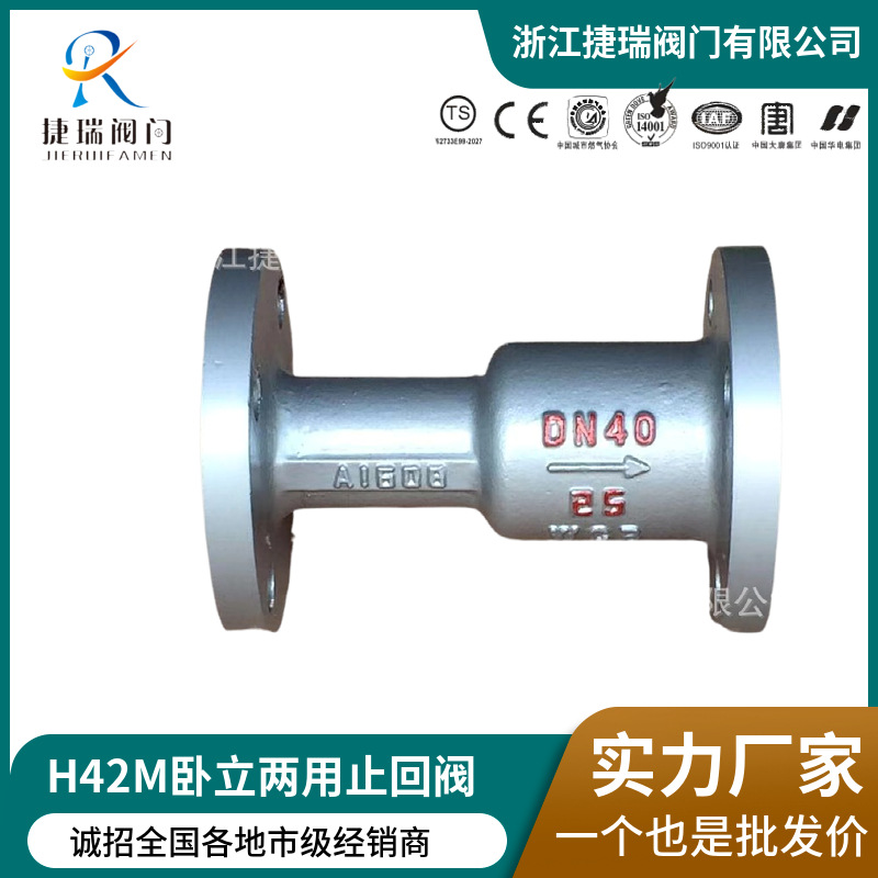 厂家直供H42M-16C/25P铸钢碳钢不锈钢高温卧立两用一体法兰止回阀