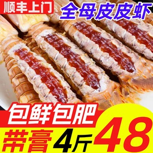 全母皮皮虾鲜活冷冻特大带膏带籽虾爬子濑尿虾海鲜水产椒盐非即食