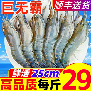 罗氏虾特大新鲜罗氏沼虾鲜活速冻大头虾金钱虾超大型虾淡水虾河虾