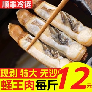 蛏王肉去壳特大蛏子肉竹节蛏冷冻蛏王肉鲜活现剥冷冻圣子肉海鲜