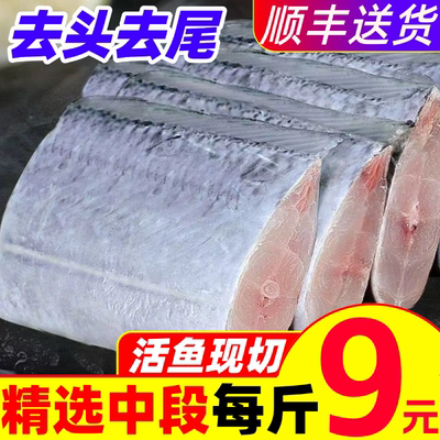 带鱼段新鲜冷冻海鲜中段鲜活小眼海带鱼东海10斤整箱刀鱼海鲜水产