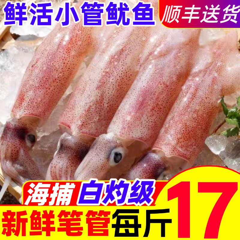 新鲜小管鱿鱼白灼鱿鱼冷冻大鱿鱼大笔管鱼小乌贼鲜活海鲜水产生鲜,水产肉类/新鲜蔬果/熟食,冷冻鱿鱼,淘宝优惠券,粉丝福利购,淘宝优惠卷