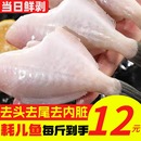 耗儿鱼剥皮鱼小号中号大号海鱼新鲜扒皮鱼冷冻老鼠鱼玻璃鱼马面鱼