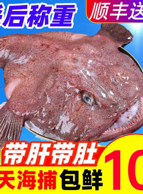 安康鱼鲜活鮟鱇鱼海鲜水产鱼鳍鱼肚鱼肝深海鱼魔鬼鱼整条蛤蟆丑鱼