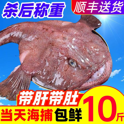 安康鱼鲜活鮟鱇鱼海鲜水产鱼鳍鱼肚鱼肝深海鱼魔鬼鱼整条蛤蟆丑鱼